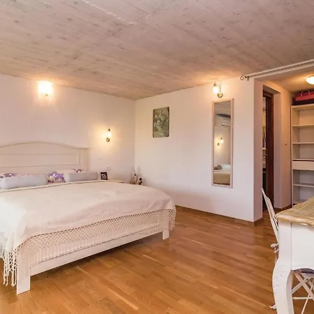Pet Friendly In With Wifi Holiday home *